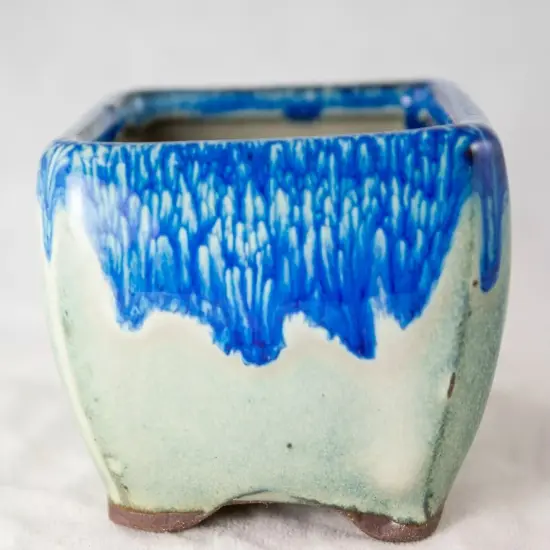 Square Mame Shohin Bonsai Pot, Cactus & Succulent Planter with Mesh 3"x 3"x 2" {5}