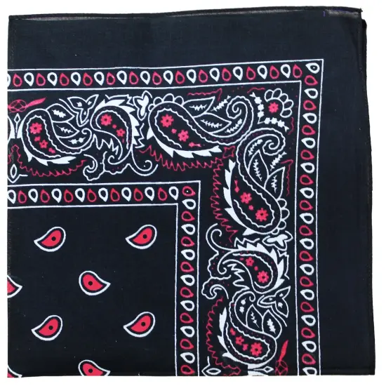 Pack of 48 Paisley Cotton Bandanas Novelty Headwraps - Bulk Wholesale - 22 inches {1}