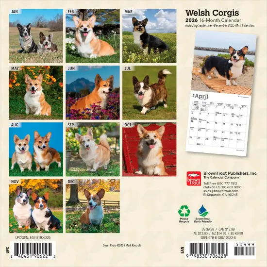 Welsh Corgis | 2026 7 x 14 Inch (Hanging) Monthly Mini Wall Calendar {2}
