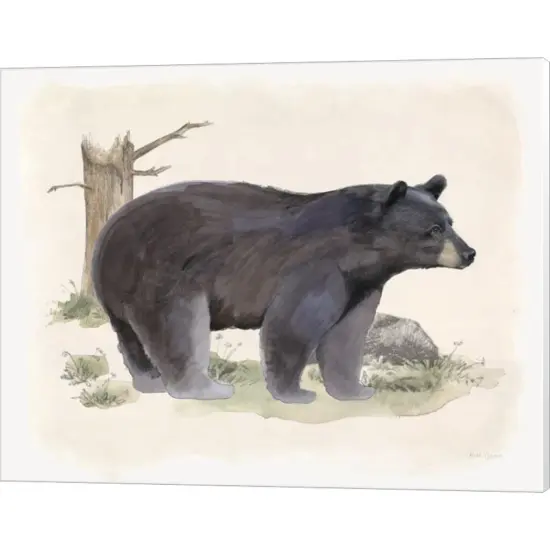 Wilderness Collection Bear by Beth Grove 20" x 16" Canvas Wall Art {1}
