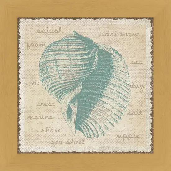 Shell by Erin Clark 13" x 13" Framed Wall Art {1}