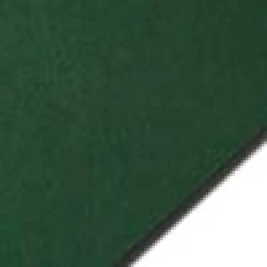 Colorplan FOREST - 12" x 12" - 100 Lb. / 270 Gsm Matte Premium Cardstock Paper Cover Sheet - 100 Sheets {1}