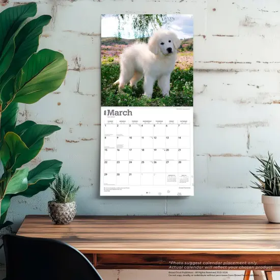 Great Pyrenees | 2026 12 x 24 Inch (Hanging) Monthly Square Wall Calendar | Plastic-Free {5}