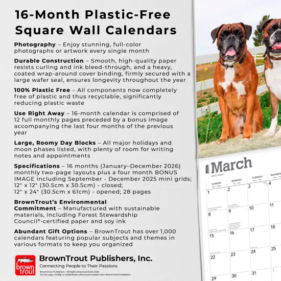 Boxers International Edition | 2026 12 x 24 Inch (Hanging) Monthly Square Wall Calendar | Plastic-Free {6}