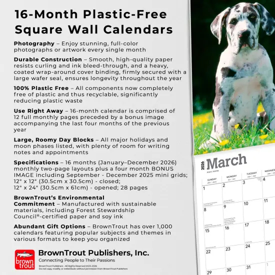 Great Danes | 2026 12 x 24 Inch (Hanging) Monthly Square Wall Calendar | Plastic-Free {6}