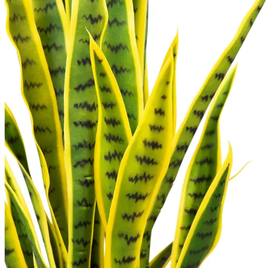 Northlight Artificial Potted Snake Plant - 38" Green {6}