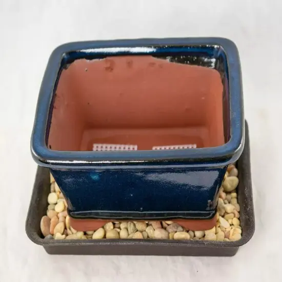 6.25" Rectangular Dark Blue Bonsai / Succulent Pot + Tray + Rock + Mesh Combo {3}