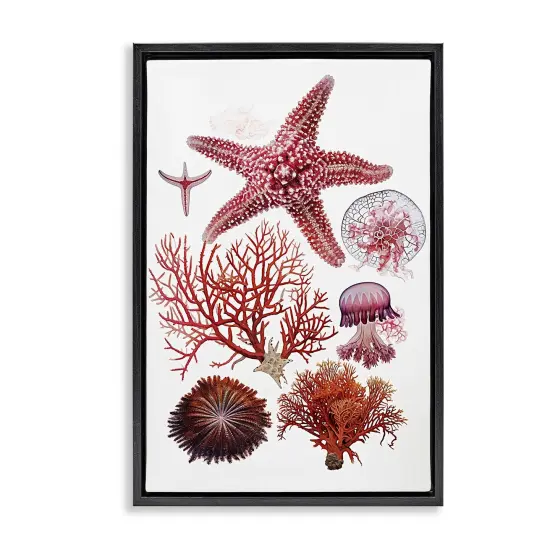 Stupell Industries Rosy Undersea Creatures Floating Frame Design by Ramona Murdock {1}
