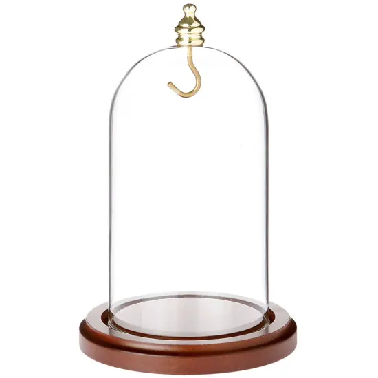 Plymor 3" x 5" Glass Display Dome Cloche No Base {2}