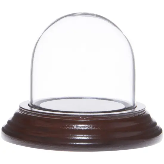 Plymor 1.875" x 1.875" Mini Glass Display Dome Cloche Dark Mahogany Veneer {1}