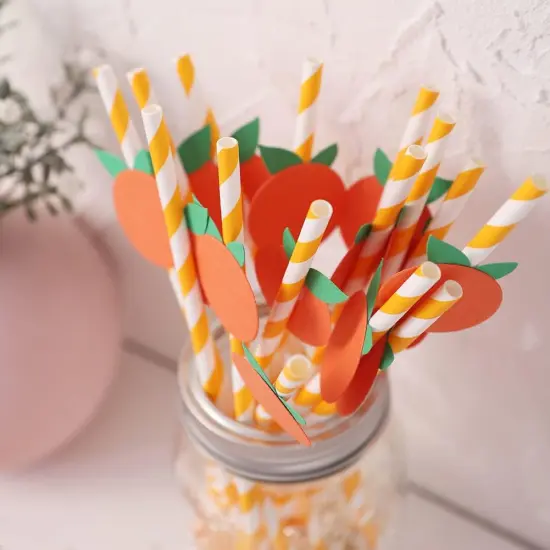 Orange Paper Straws - Biodegradable Disposable Drinking Striped Paper Straws 15 Pieces, Little Cutie Straws, Little Cutie Baby Shower Decorations, Little Cutie Themed Birthday Decorations {3}