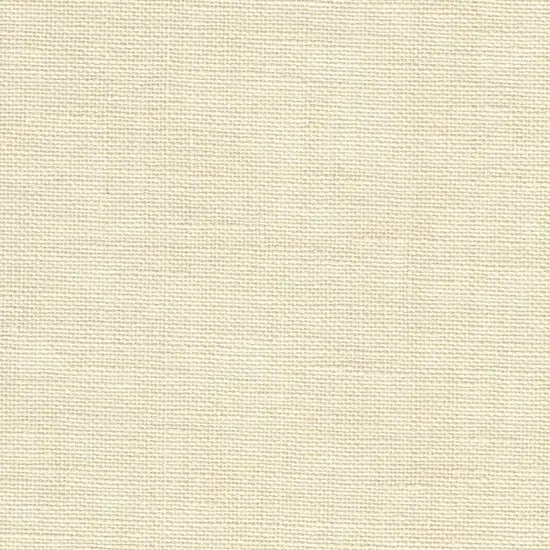 Precut Zweigart Cashel 28 count Platinum {3}