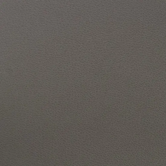 Richloom DANNON - Faux Leather Seal {4}