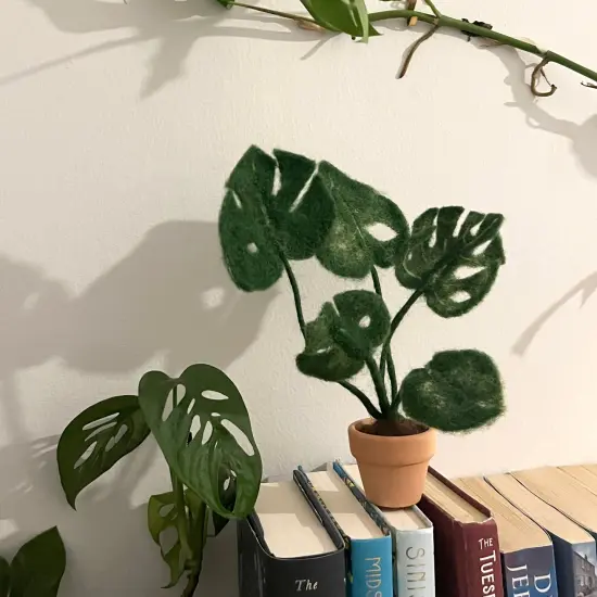 Felting Kit - Monstera Needle Felt Kit {2}