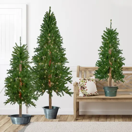 Northlight Pre-Lit Slim Alpine Artificial Christmas Trees - 6' - Clear Lights - Set of 3 Green {1}
