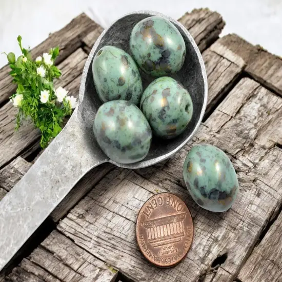 *6* 20x16mm Opaque Turquoise Bronze Picasso Gumball Oval Beads {4}