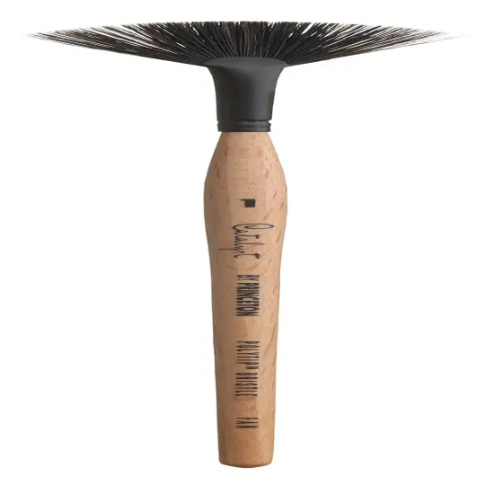Princeton Catalyst Polytip Brush-Short Handle Fan Size 1 {1}