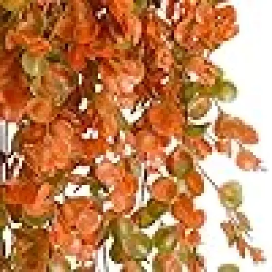 Hanging Plant Faux Eucalyptus Leaf Greenery {3}