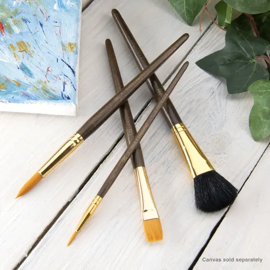 RSET-9165 | 4pc Golden Taklon Variety Brush Set {3}