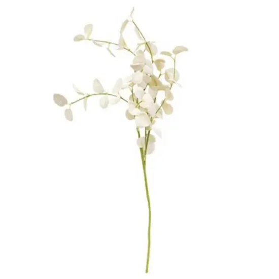 25&rdquo; Long Cream Foamy Silver Dollar Spray On Green Paper-Wrapped Stem {1}