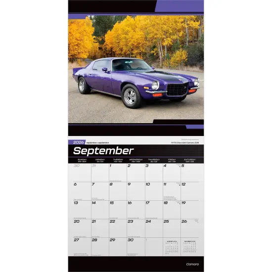 Camaro OFFICIAL | 2026 12 x 24 Inch (Hanging) Monthly Square Wall Calendar | Plastic-Free {4}
