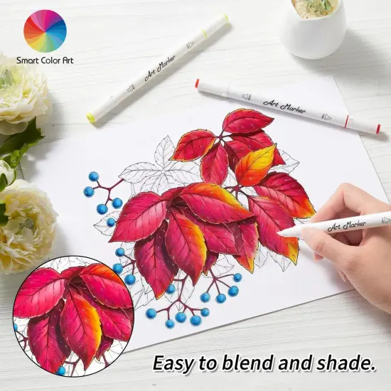 66 Pack Alcohol Based Dual Tip Permanent Markers {2}