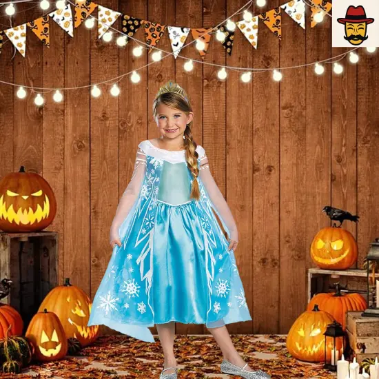 Girls Disney Frozen Elsa Costume with Tiara Dress Set {1}