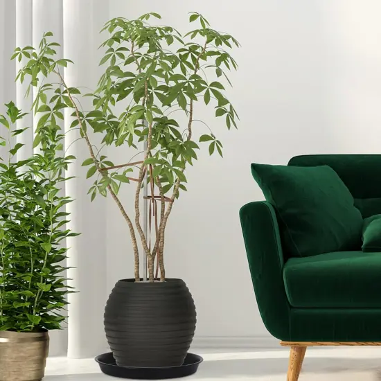 4 Pack 14Inch Plant Saucer Plastic {3}