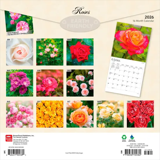 Roses | 2026 12 x 24 Inch (Hanging) Monthly Square Wall Calendar | Plastic-Free {2}