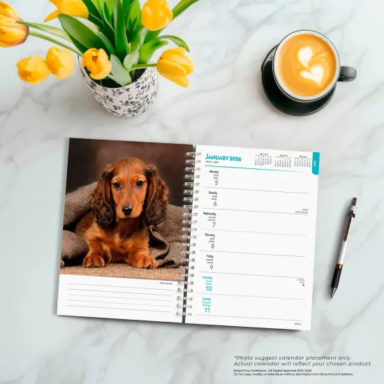 Dachshunds | 2026 6x7.75 Inch Spiral-Bound Wire-O Weekly Engagement Planner Calendar | New Full-Color Image Every Week {5}