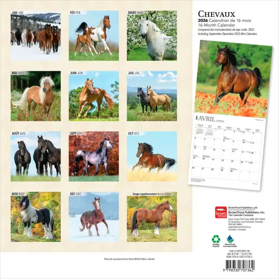 Chevaux | 2026 12 x 24 Inch (Hanging) Monthly Square Wall Calendar | French Language {2}
