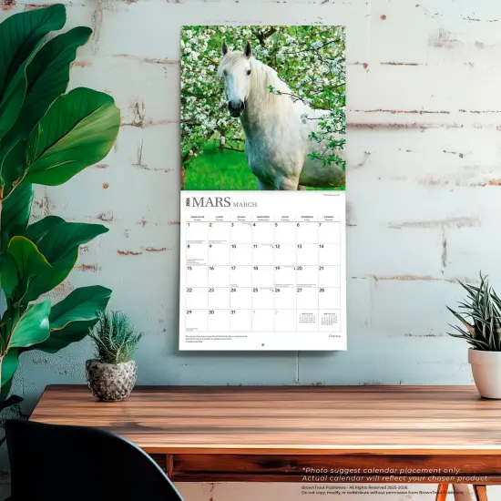 Chevaux | 2026 12 x 24 Inch (Hanging) Monthly Square Wall Calendar | French Language {5}
