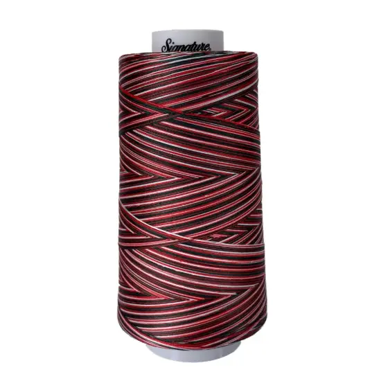 M02 Holiday Signature Cotton Variegated Thread {1}
