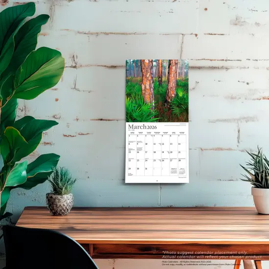 National Parks | 2026 7 x 14 Inch (Hanging) Monthly Mini Wall Calendar | Foil Stamped Cover {5}