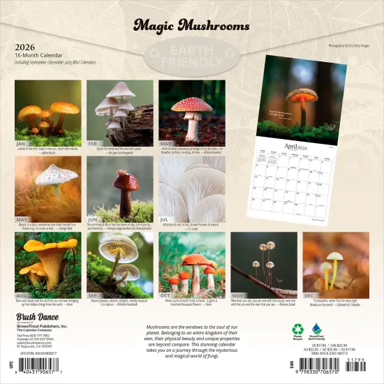 Magic Mushrooms | 2026 12 x 24 Inch (Hanging) Monthly Square Wall Calendar | Plastic-Free {2}