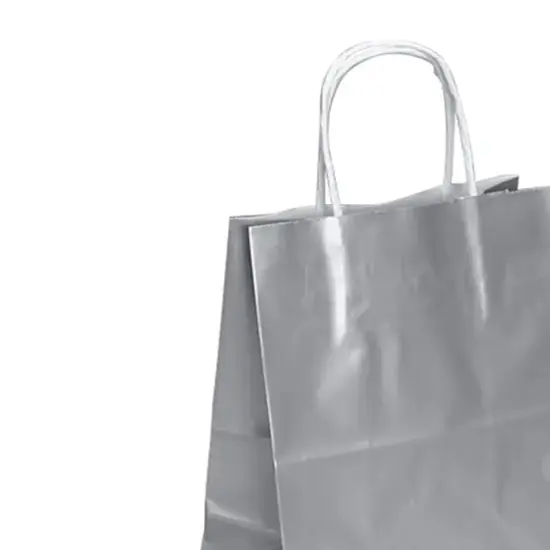 High-Gloss Bags 16'' x 6'' x 13'' Premium Quality Platinum {4}