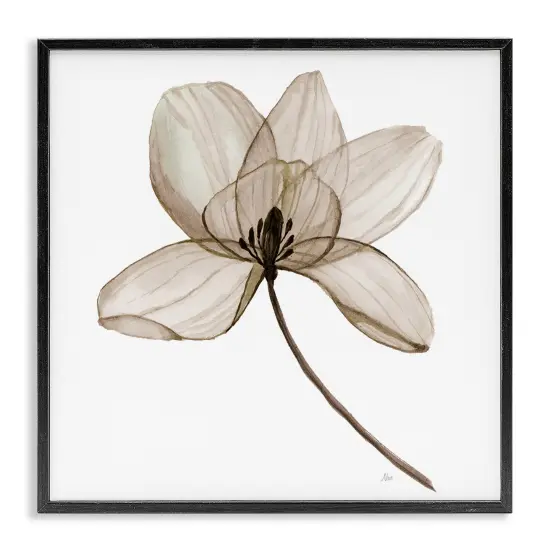 Stupell Industries Beige Opaque Blossom Framed Giclee Wall Art Design by Nan {1}