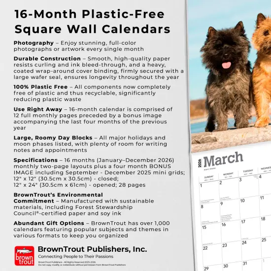 Cairn Terriers | 2026 12 x 24 Inch (Hanging) Monthly Square Wall Calendar | Plastic-Free {6}
