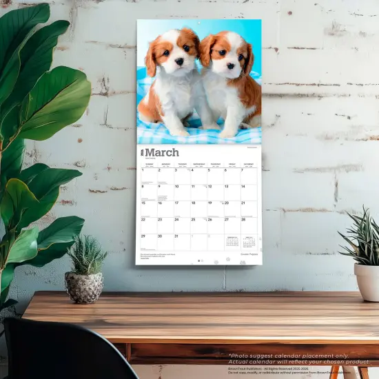 Cavalier King Charles Spaniel Puppies | 2026 12 x 24 Inch (Hanging) Monthly Square Wall Calendar | Plastic-Free {5}