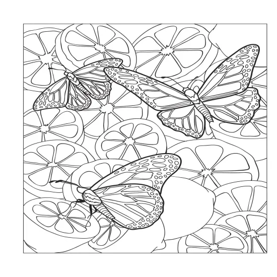 Creative Haven: Beautiful Butterfly Coloring Book-Softcover {6}