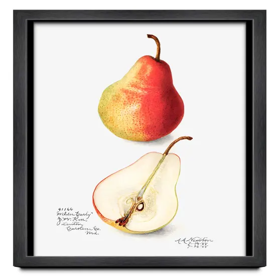 Classic Modern Grey Picture Frame - UV Acrylic, Backing Board, Hanging Hardware Included {4}