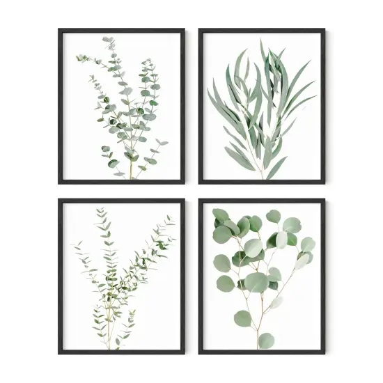 Haus and Hues Botanical Prints Set of 4 Eucalyptus leaves {4}