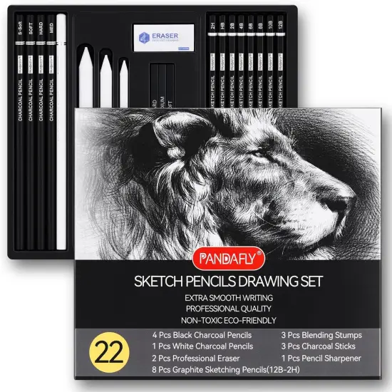 Black and White Charcoal Pencils, Charcoal Sticks 22 Piece Pro Art {1}