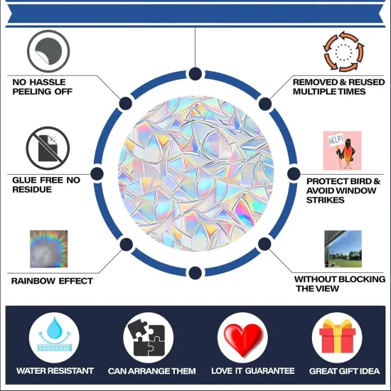 12 Pcs Spider Web and Spider Window Clings {2}