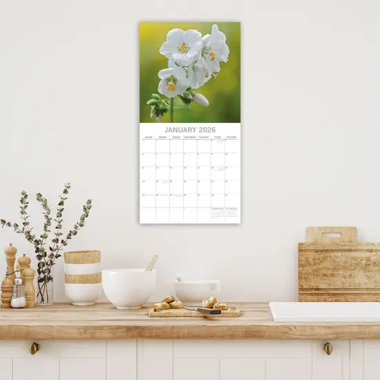 The Gifted Stationary 2026 Square Wall Calendar, Beauty of Flowers, 16-Month Floral Theme Hanging Calendar with 180 Reminder Stickers, Month Planner for Creative Spaces, 12x12 In Multicolor {2}