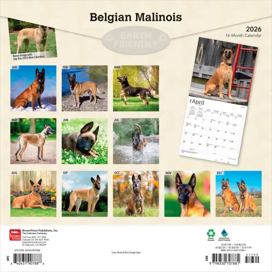 Belgian Malinois | 2026 12 x 24 Inch (Hanging) Monthly Square Wall Calendar | Plastic-Free {2}