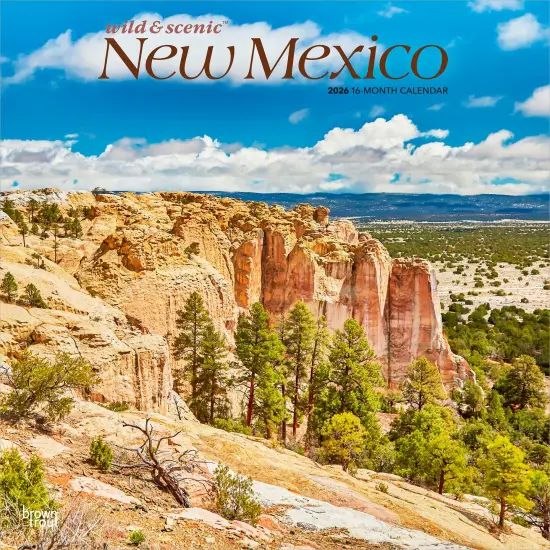 New Mexico Wild & Scenic | 2026 12 x 24 Inch (Hanging) Monthly Square Wall Calendar | Plastic-Free {1}