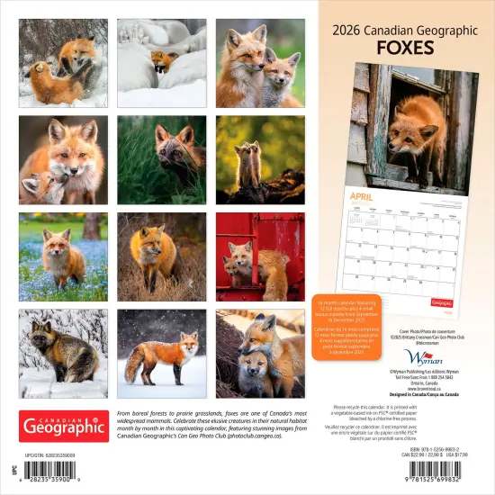 Canadian Geographic Foxes OFFICIAL | 2026 12 x 24 Inch (Hanging) Monthly Square Wall Calendar {2}