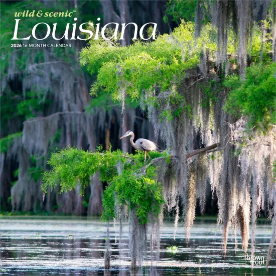 Louisiana Wild & Scenic | 2026 12 x 24 Inch (Hanging) Monthly Square Wall Calendar | Plastic-Free {1}