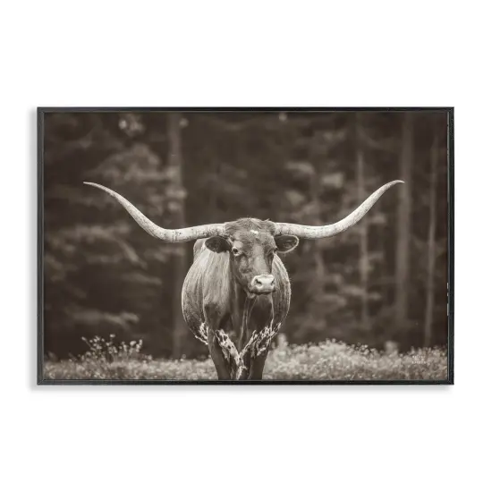 Stupell Industries Longhorn Among Flowers Framed Giclee Wall Art Design by Nathan Larson {1}